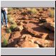 Kings Canyon Spinifex Pidgeon.jpg